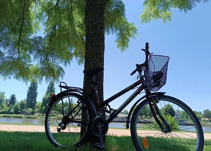 Mon Allier - Vue Exceptionnelle 公寓 维琪