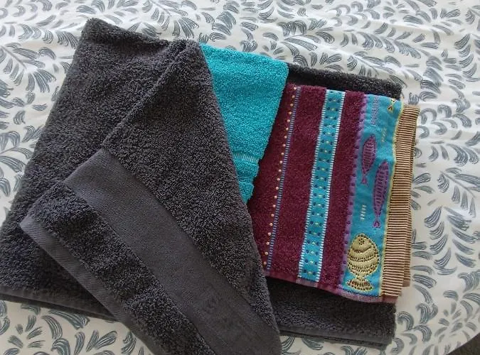 Mon Allier - Vue Exceptionnelle * 维琪