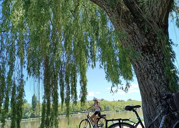 Mon Allier - Vue Exceptionnelle 维琪